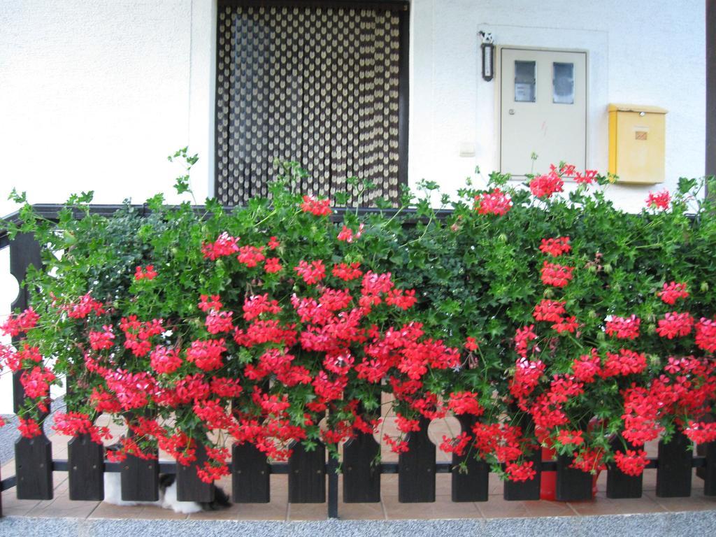 Appartement Dale