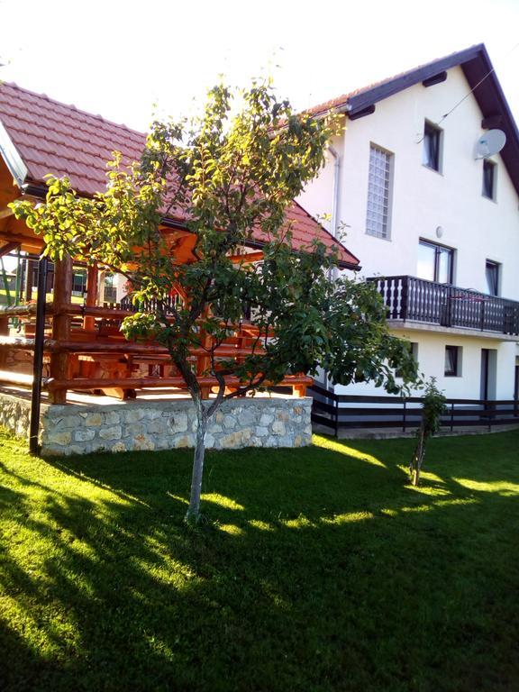 Appartement Dale